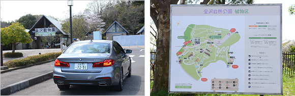 THE NEW BMW 5 SERIES SEDAN