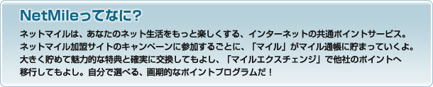 NetMileってなに？