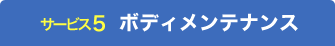 ボディメンテナンス